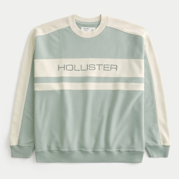 Baggy Terry Logo Graphic Crew Sweatshirt - eucalyptus green